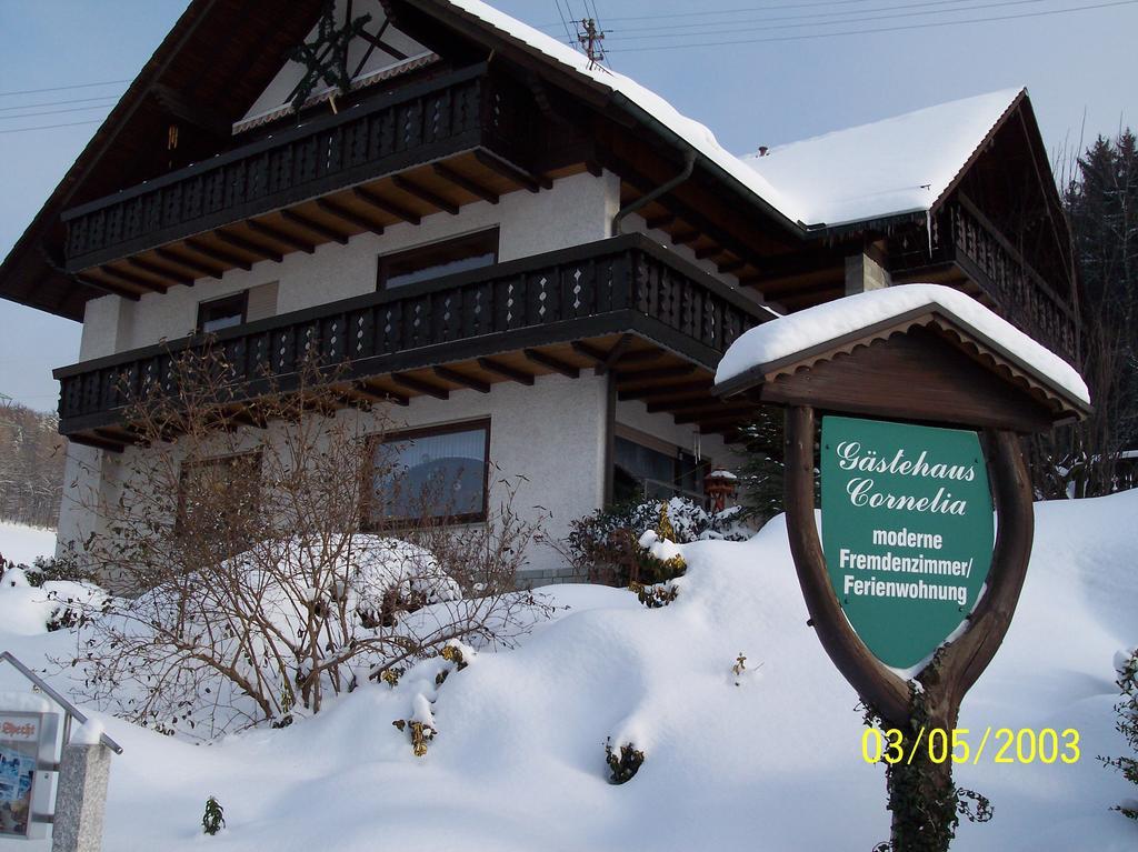 Gästehaus Cornelia Wildensee Exterior foto