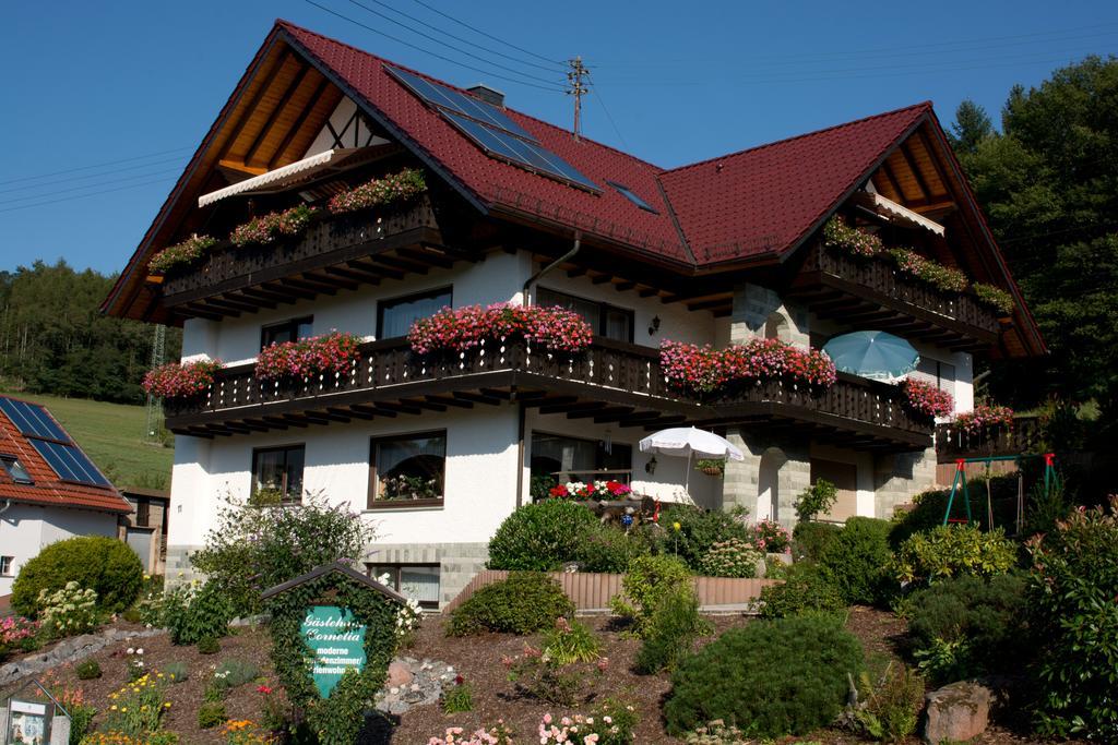 Gästehaus Cornelia Wildensee Exterior foto